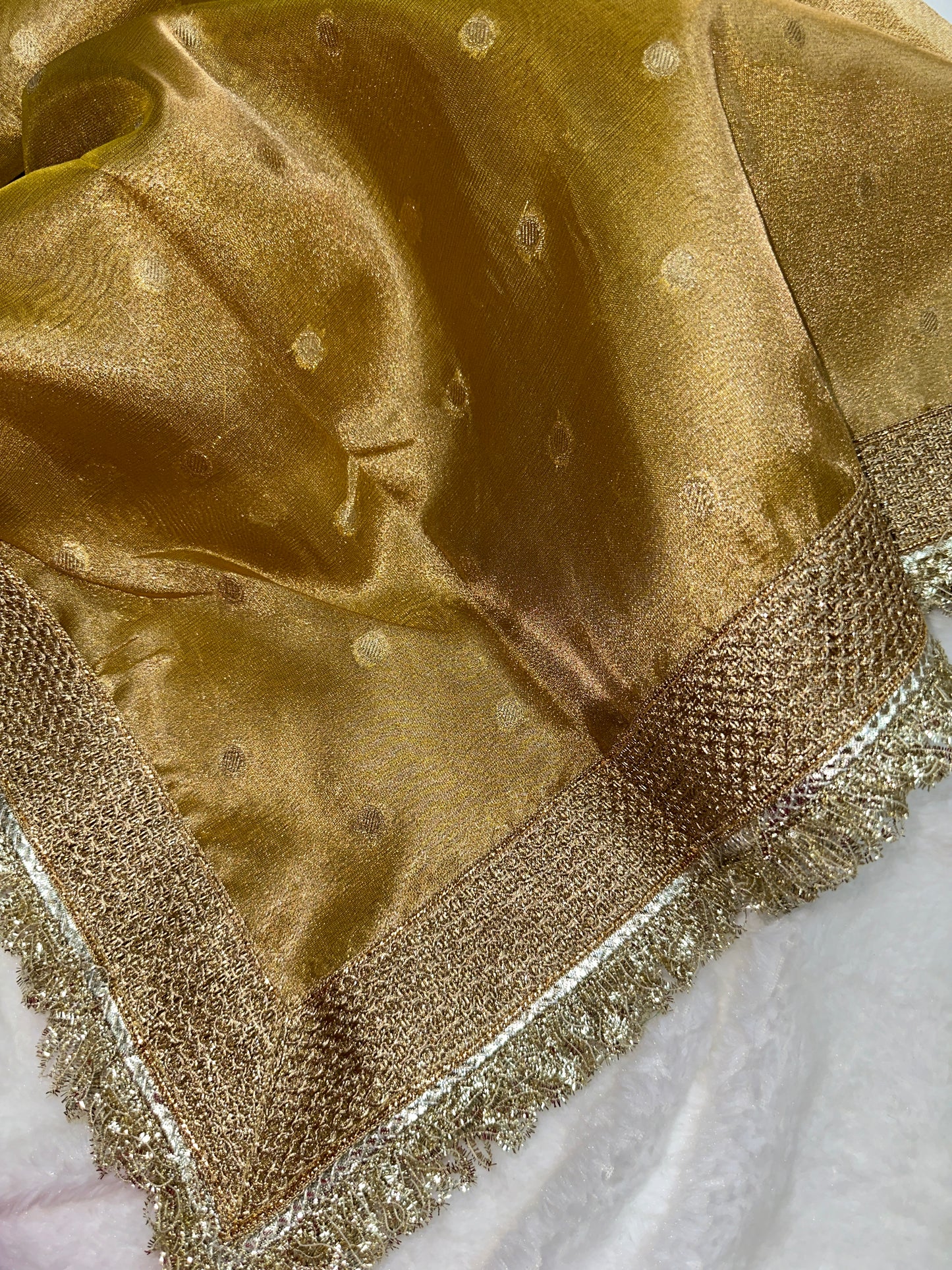 Heeramandi tissue saree