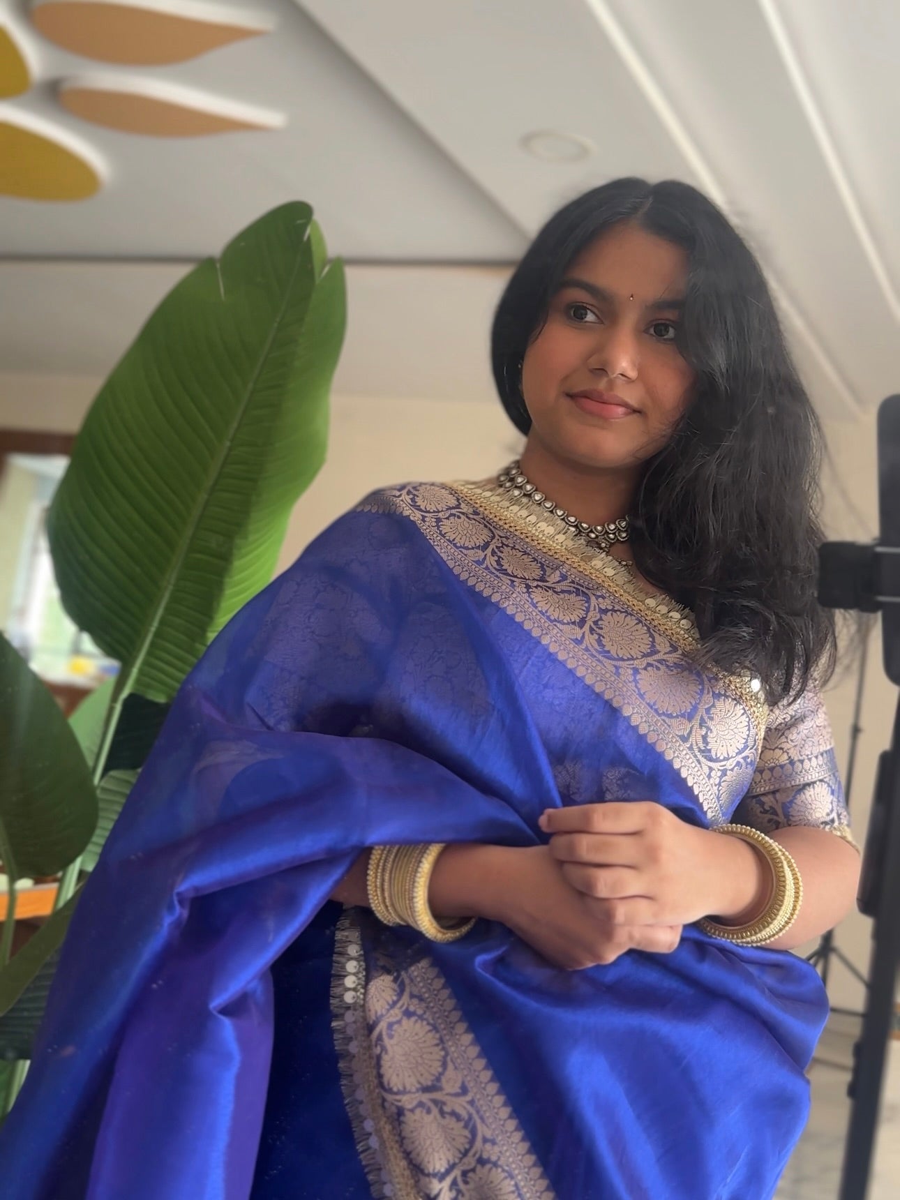 Sapphire Tissue Saree